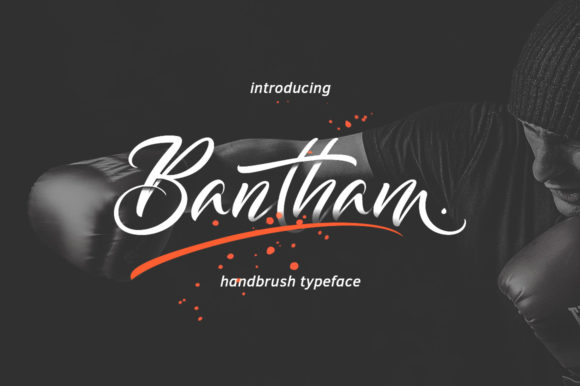 Bantham: A Handwritten Font for Creative Crafters