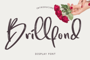 Brillfond: The Font That Elevates Your Digital Brand