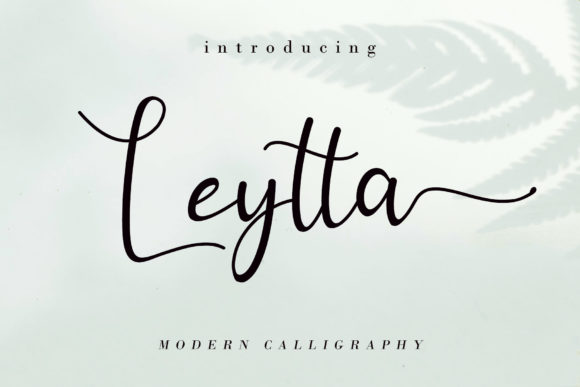 Choosing the Right Font: Leytta for a Polished Digital Brand