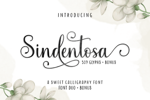 Choosing the Right Font: Sindentosa for a Modern Web Design Project