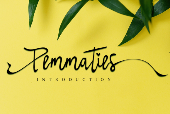 Pemmaties: A Versatile Script Font for Crafters and Designers